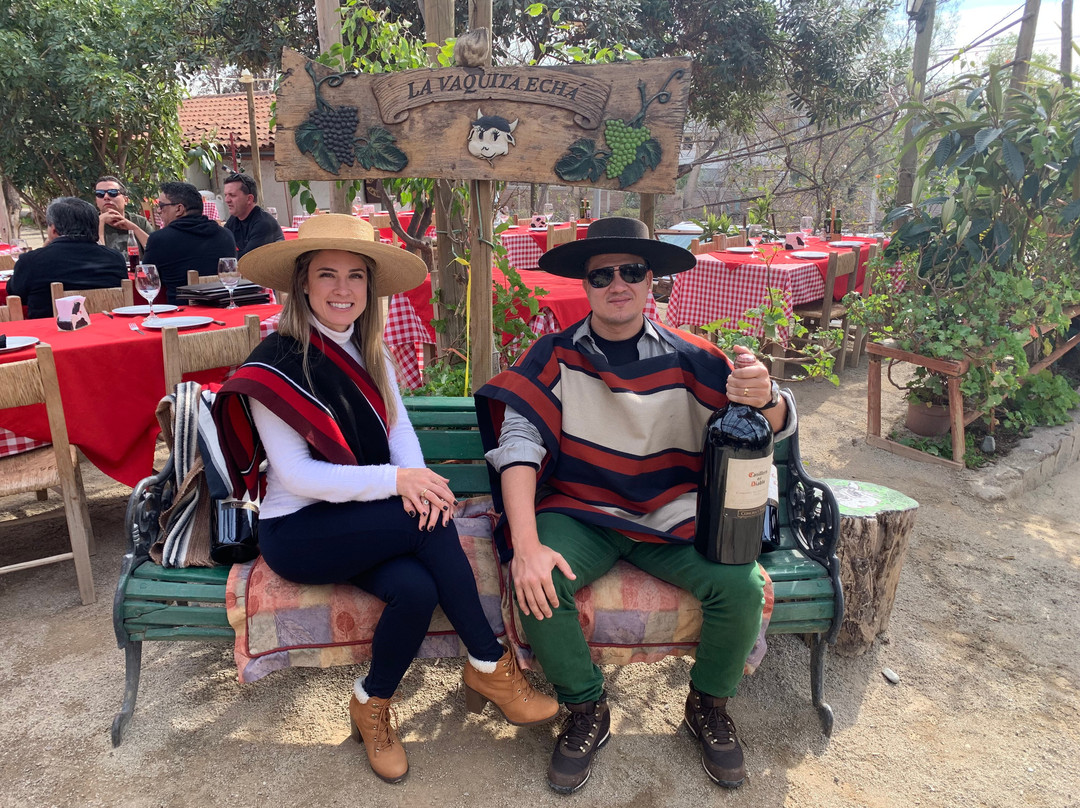 Central Valley Tours-圣地亚哥必去景点