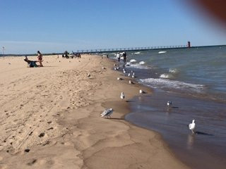 North Beach-南黑文必去景点