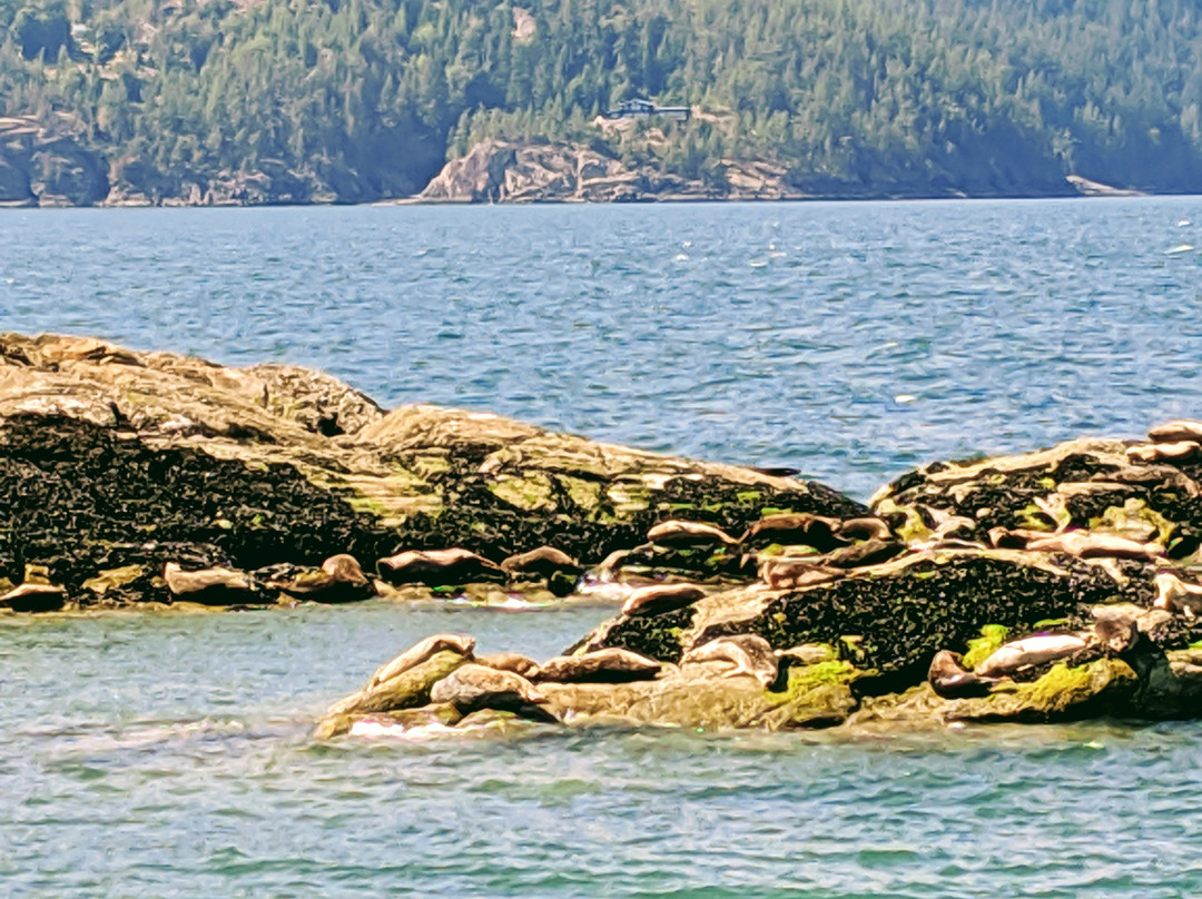 Sea Dragon Charters-马蹄湾必去景点