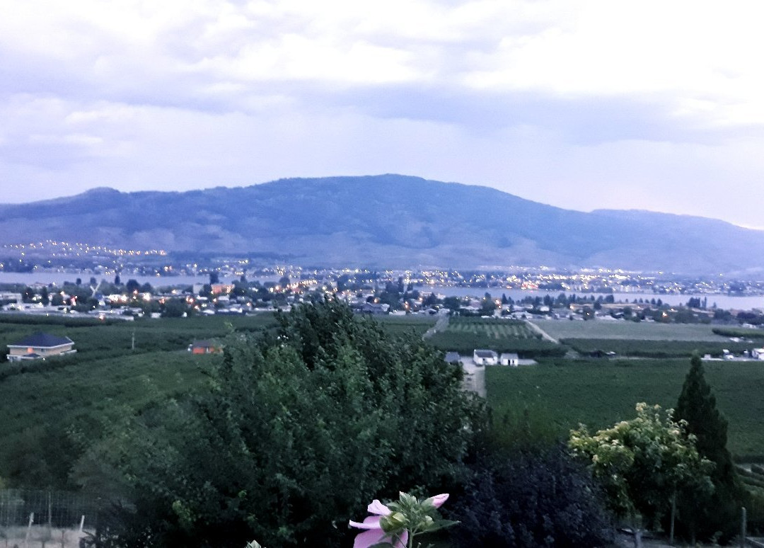 The White Horse Bed and Breakfast主图