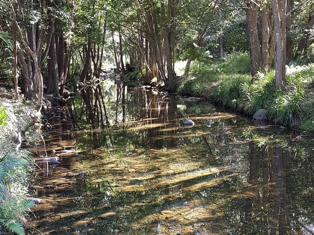 Cedar Creek Park景点图片