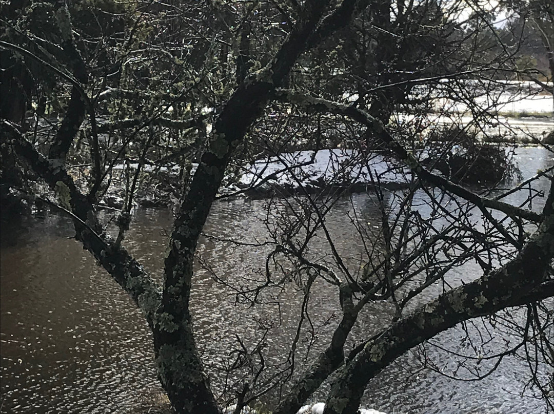 Quarry St Reserve-Trentham必去景点