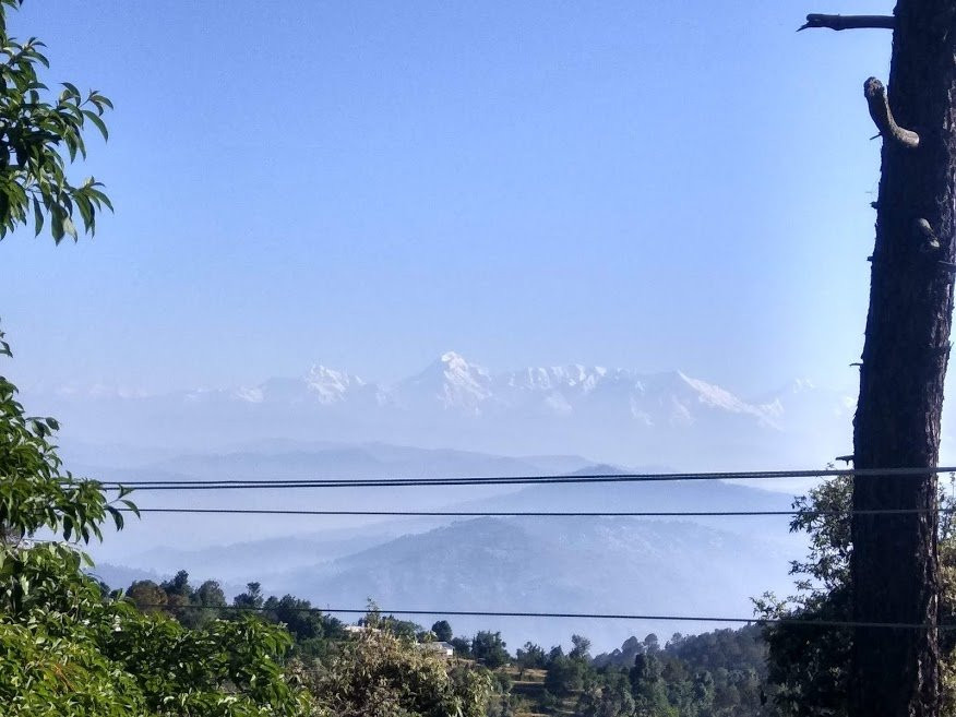 Frozen Woods Resorts主图