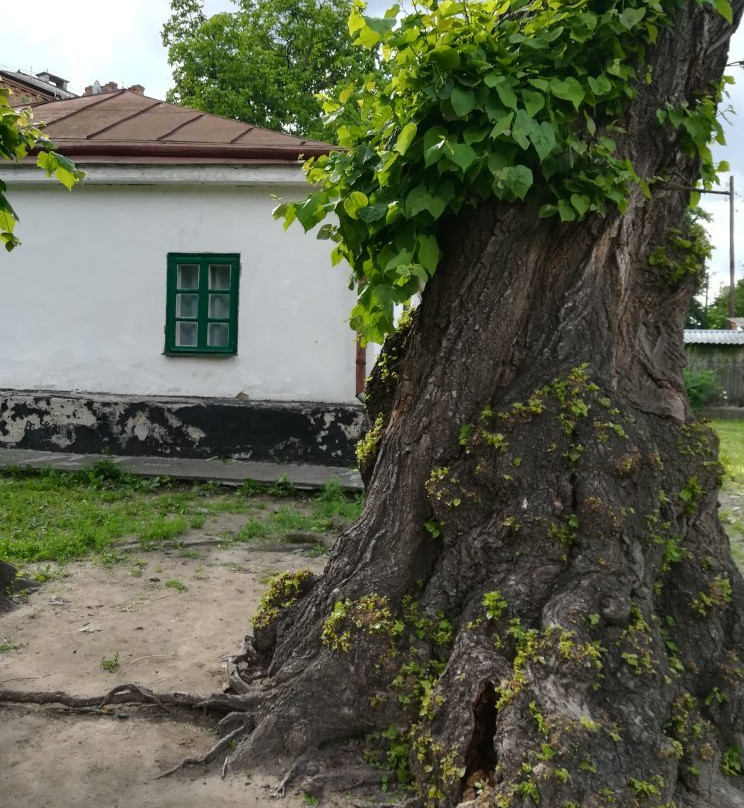 Mykhailo Kotsyubynsky Literary Memorial Museum-Vinnytsia必去景点