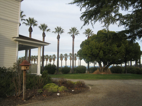 San Joaquin River Parkway and Conservation Trust-弗雷斯诺必去景点