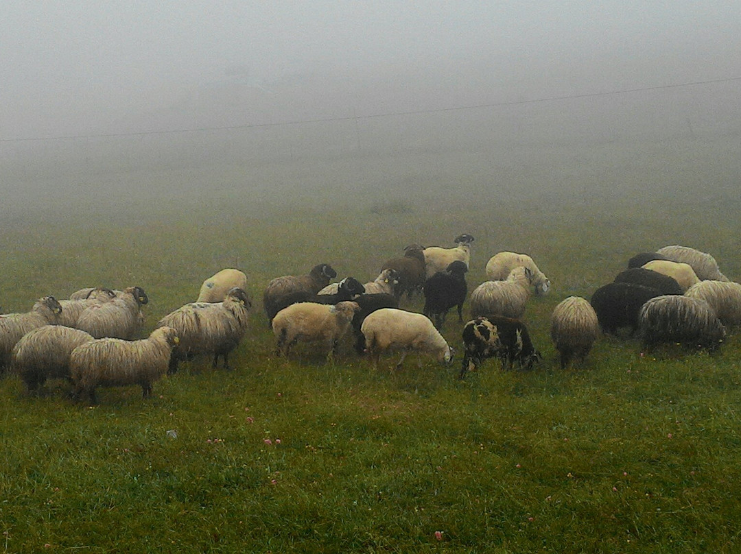 Hotel Kardelen主图