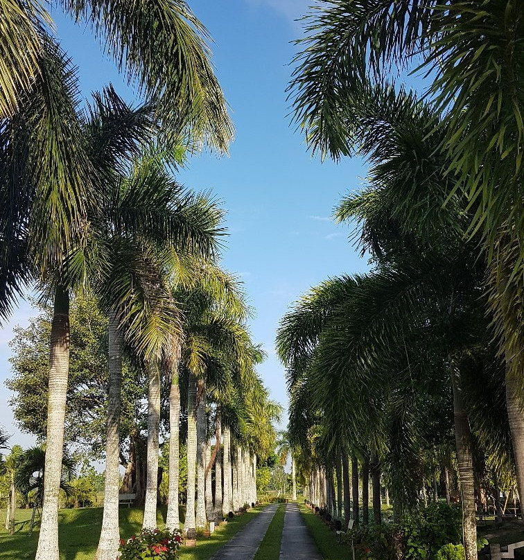 莱斯阿莫德伊东方酒店主图