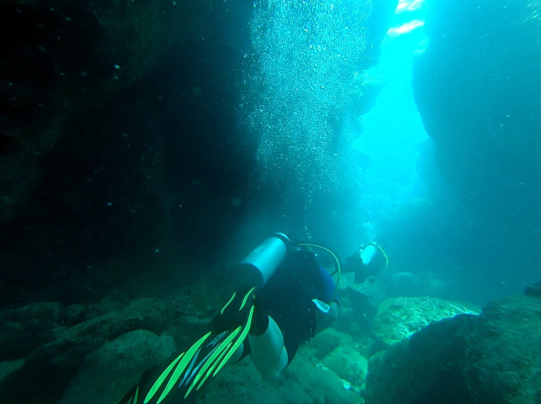 Magical Niue Sea Adventures-阿洛菲必去景点