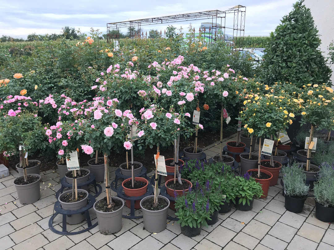 RosenPark Dräger-Bad Nauheim必去景点