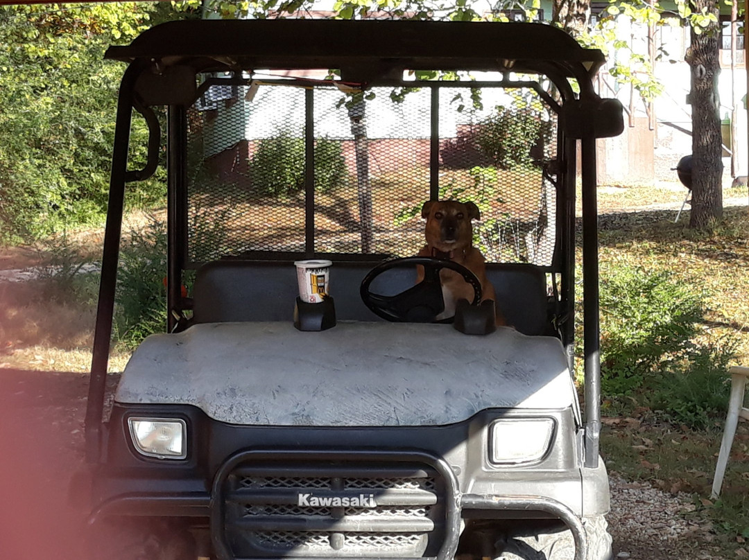 Blackburns Resort主图