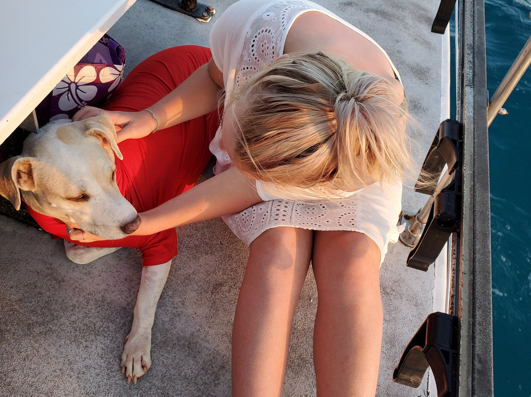 Oahu Catamarans-火奴鲁鲁必去景点