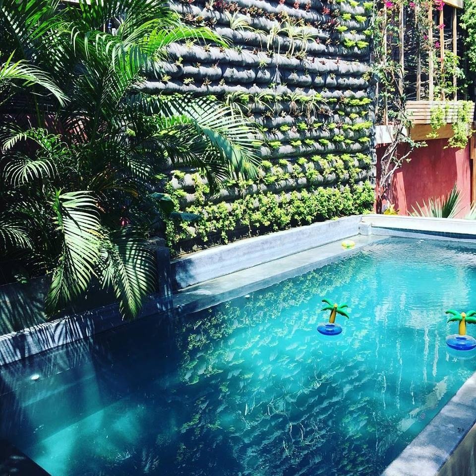 Eco Lodge-泳池