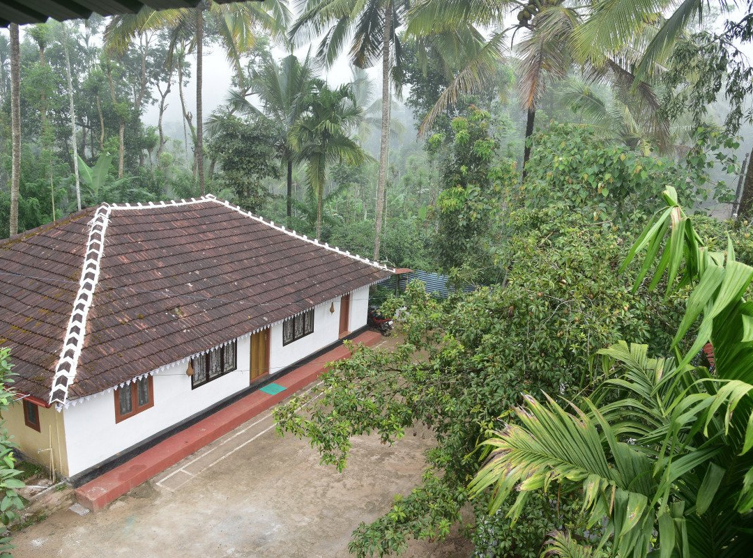 Oxygen County Holiday Homes