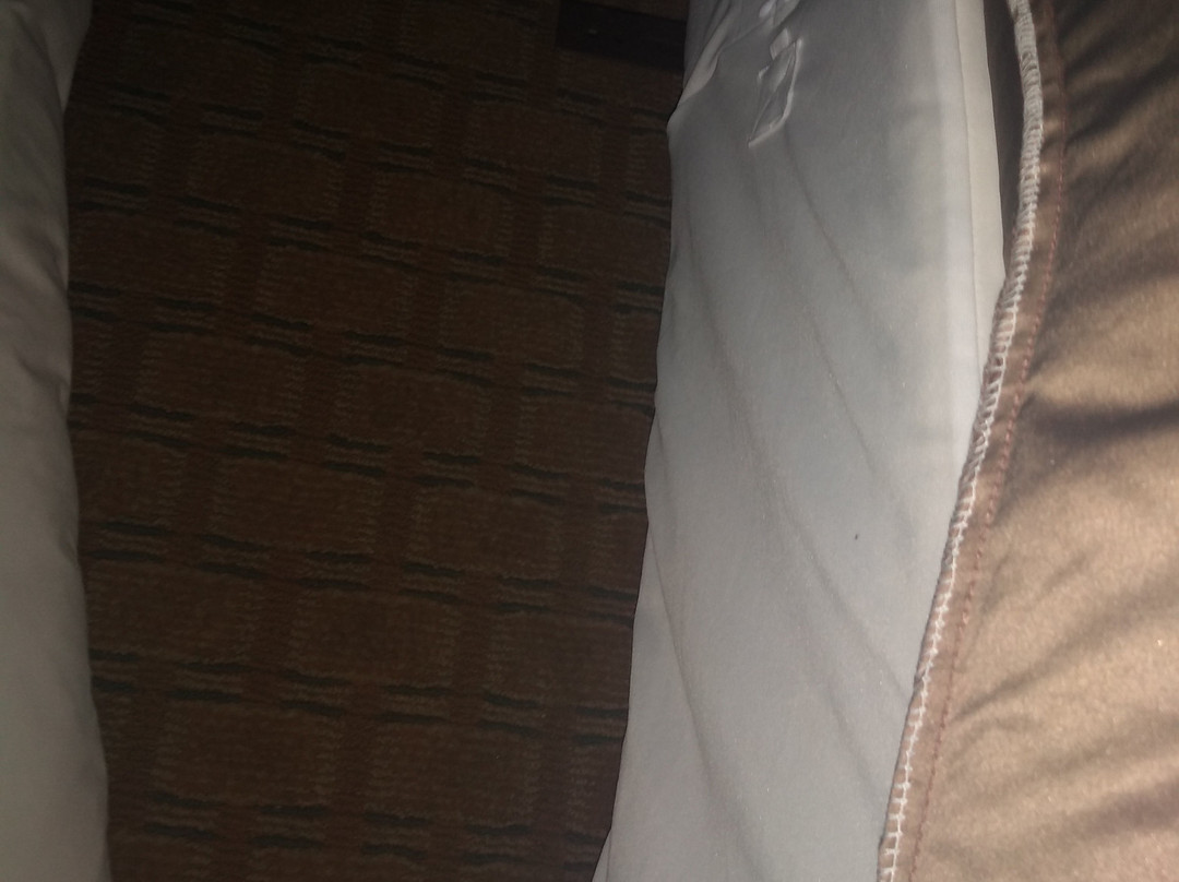 Super 8 by Wyndham San Antonio/I-35 North主图