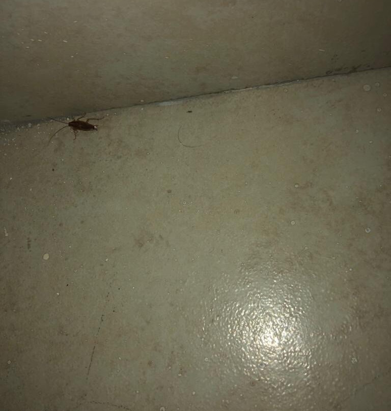 Hotel Palapa Palace主图