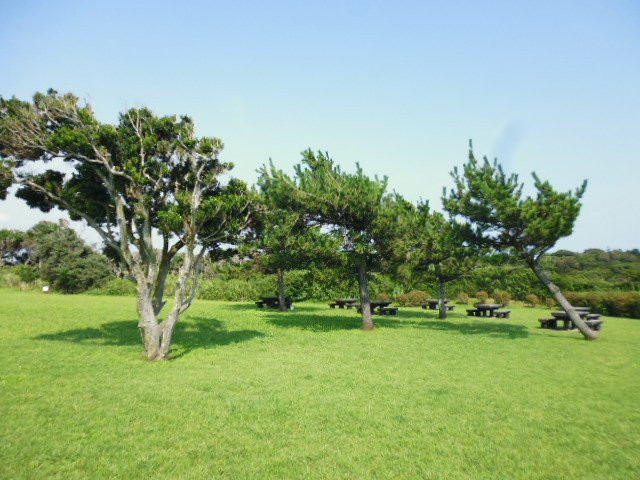 Arasaki Park景点图片