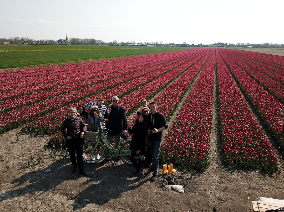 Tulip Tours Holland景点图片
