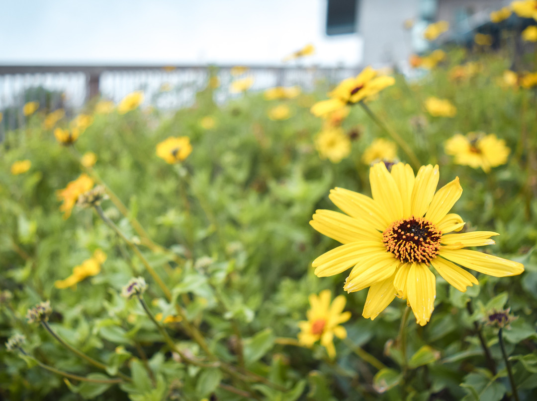 Bolsa Chica State Beach-亨廷顿海滩必去景点