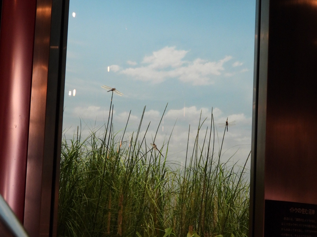 The Kushiro City Museum-钏路市必去景点