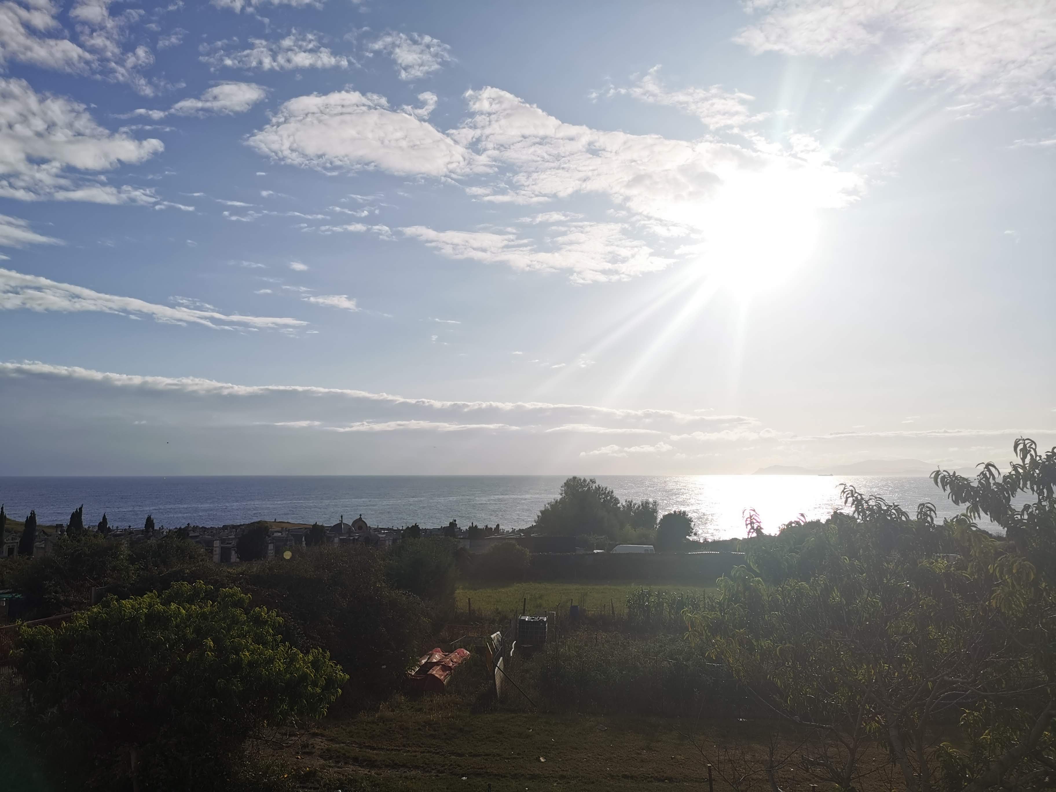 Villa Maguana-酒店景观