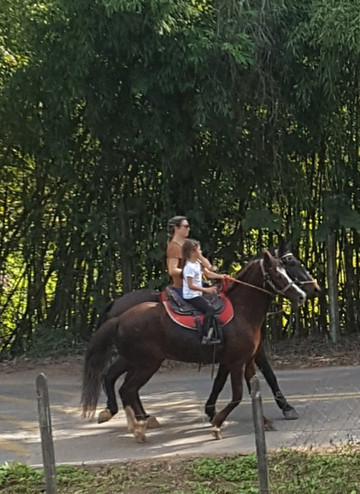 Haras Terra Nova Jundiaí-容迪亚伊必去景点