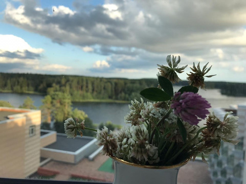 Valdai Holiday Hotel主图