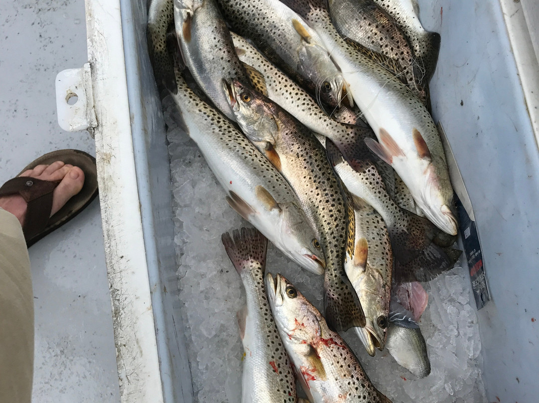 Hallelujah Charters-Frisco必去景点