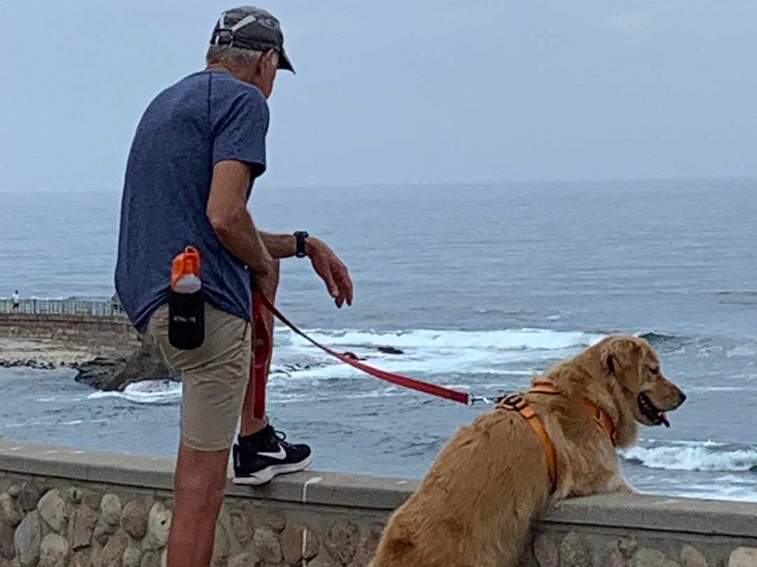 Coast Boulevard Park-拉荷亚必去景点