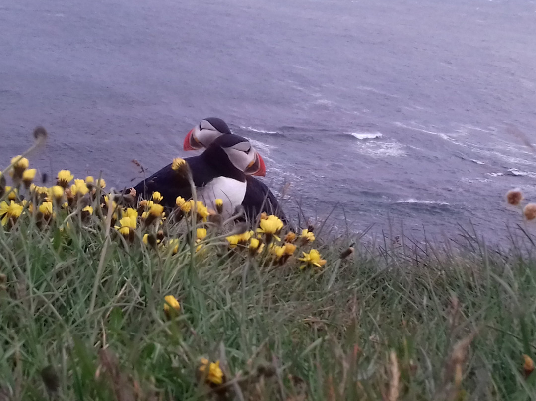 Hotel Breidavik主图