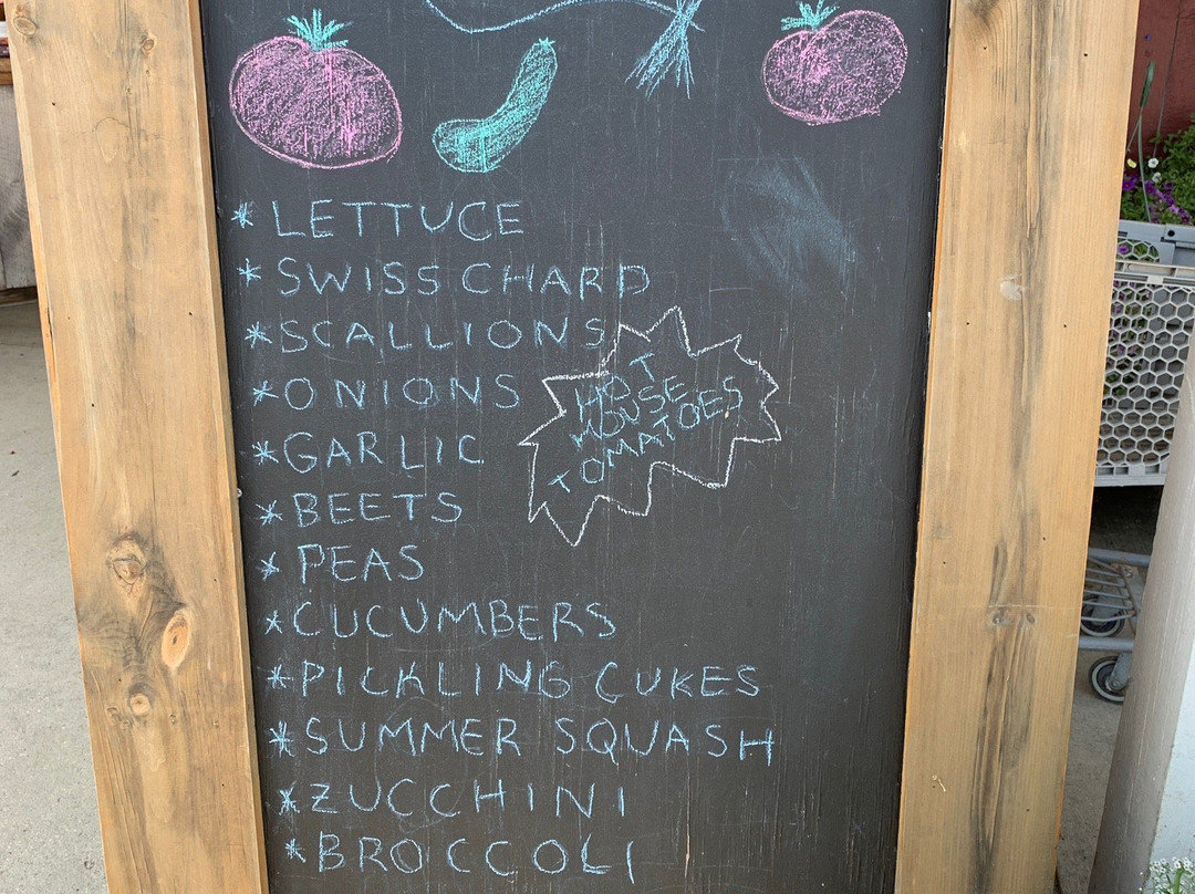 Marini Farm-Ipswich必去景点