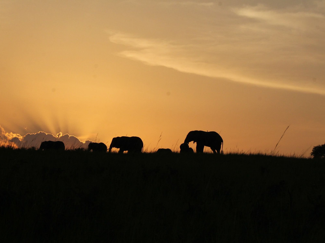 Gracious Tours & Travel-坎帕拉必去景点