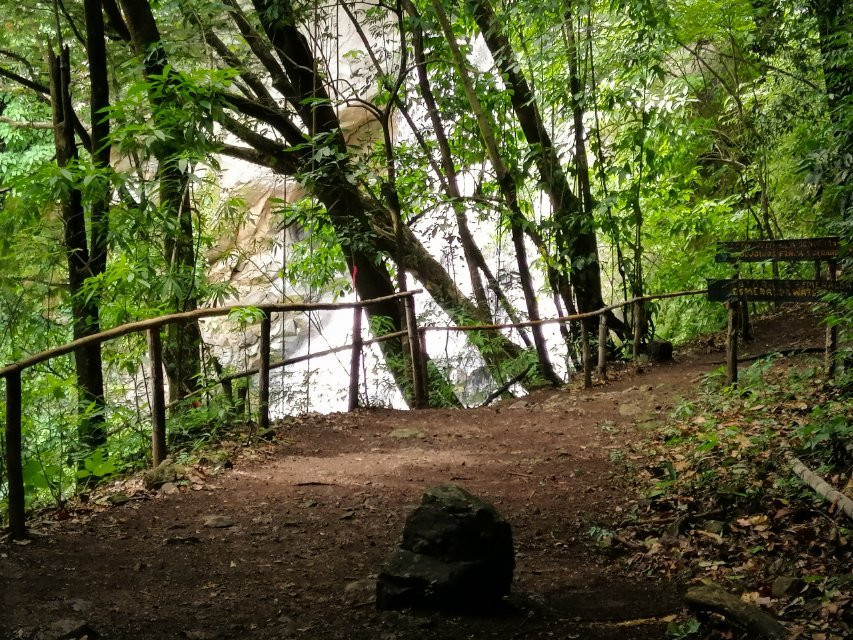Ecological Trails Finca San Gerardo景点图片