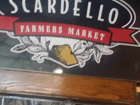 Explore Dallas Tours-达拉斯必去景点