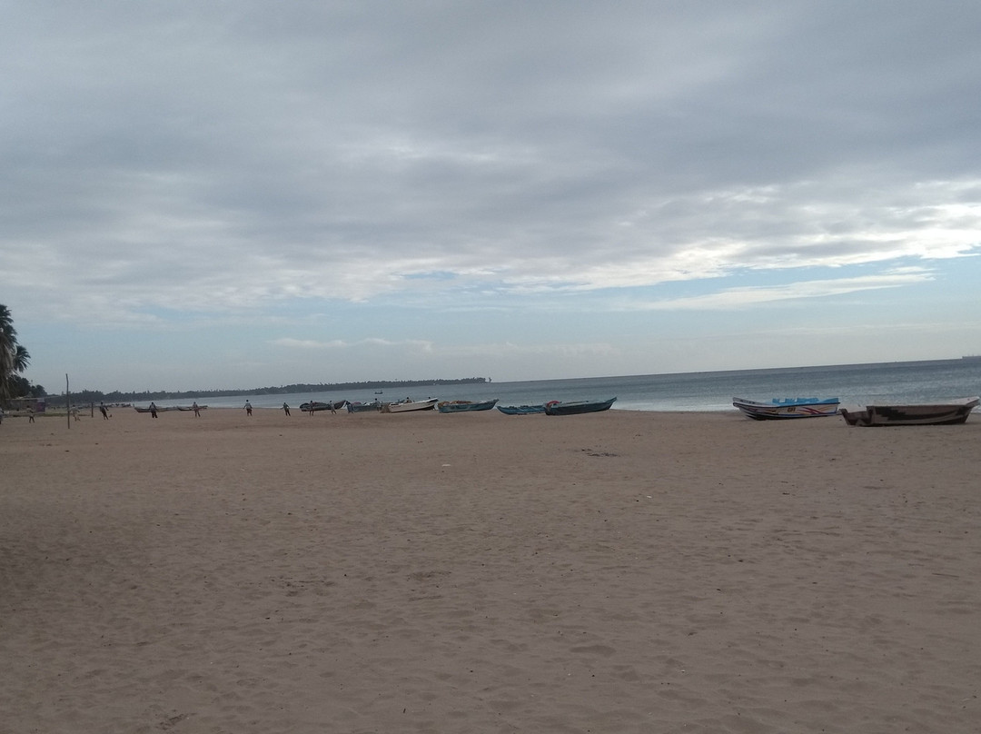 Elegant Green Beach Resort主图