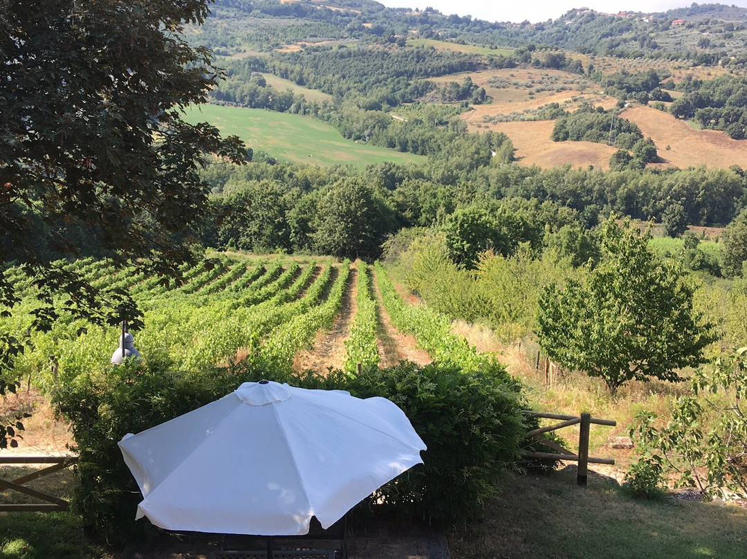 Agriturismo Lapone主图