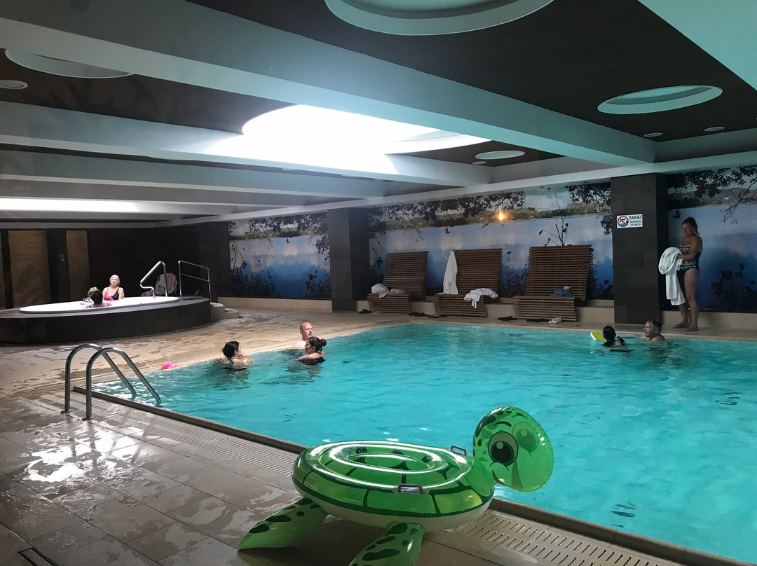 Ostrzyce Hotel & Spa主图