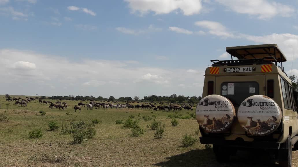 Tai Adventures and Safaris-阿鲁沙必去景点