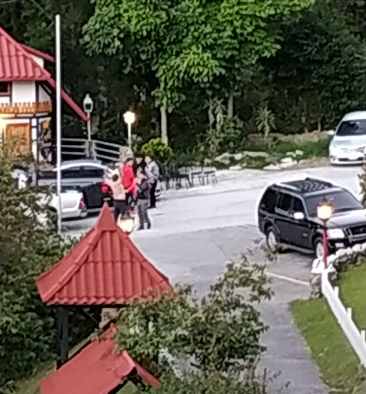 Hotel Selva Negra主图