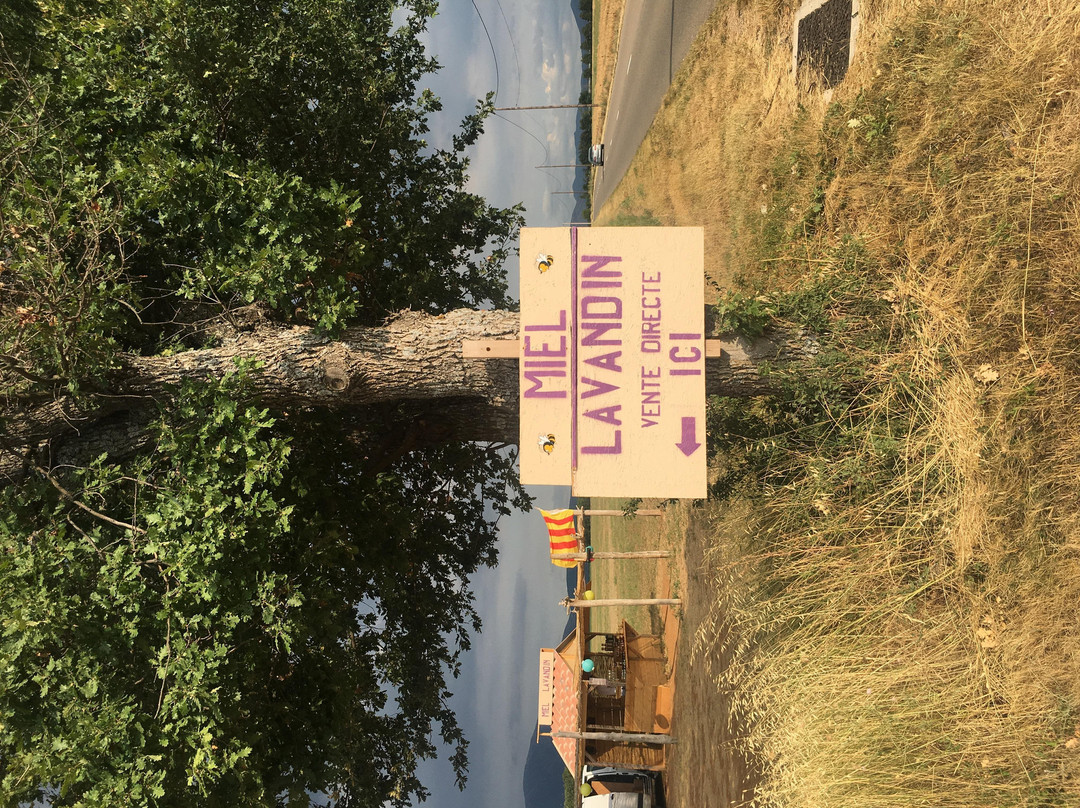 Miel et Lavandin-Riez必去景点