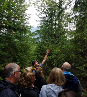 Alaska Whale Watching-朱诺必去景点