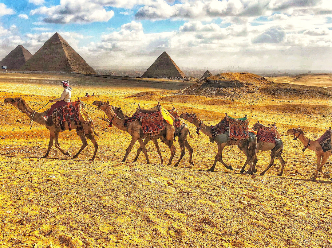 Egypt Tours Planner景点图片