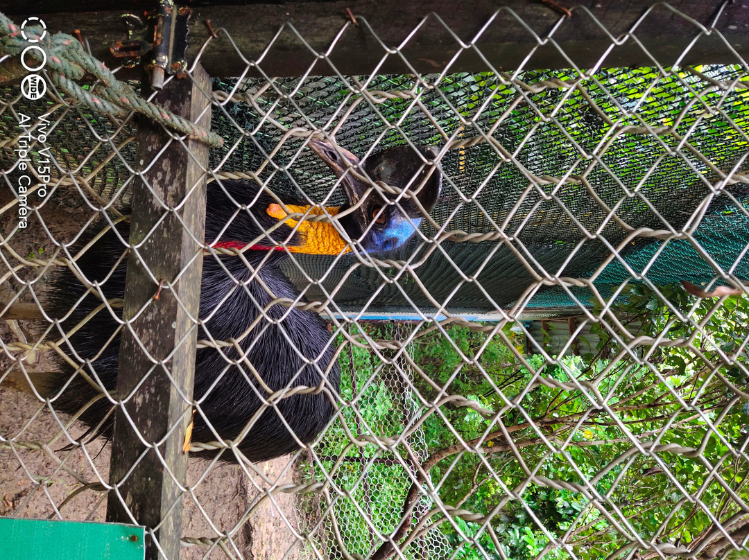 Aimas Bird Park-索龙必去景点