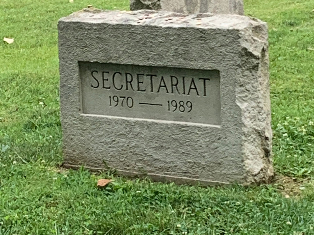 UnBridled Horse Tours-Midway必去景点