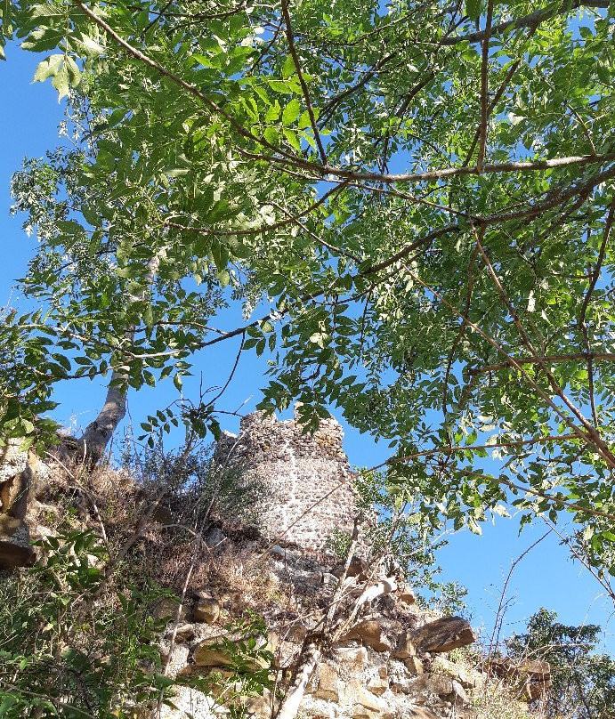 Château de Montrognon景点图片