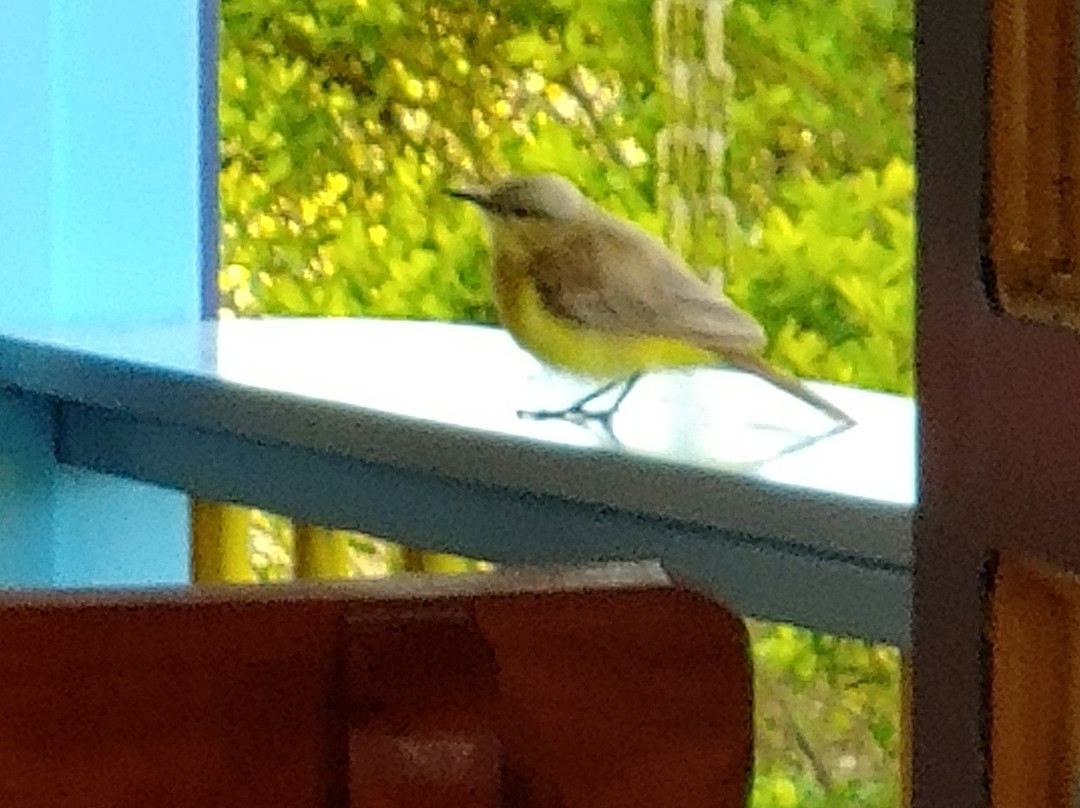 Hotel Reino Quindiano主图