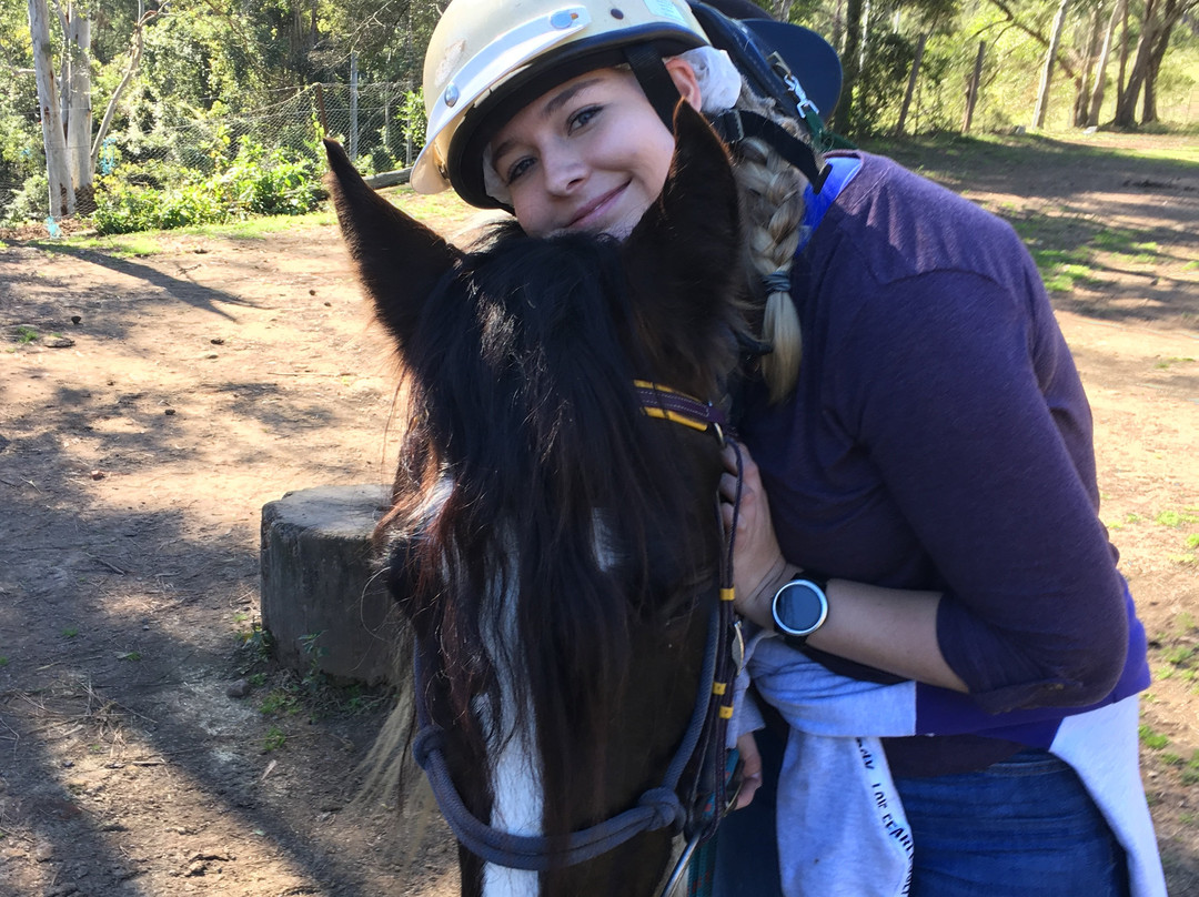 Bellrowan Valley Horse Riding-Beechwood必去景点