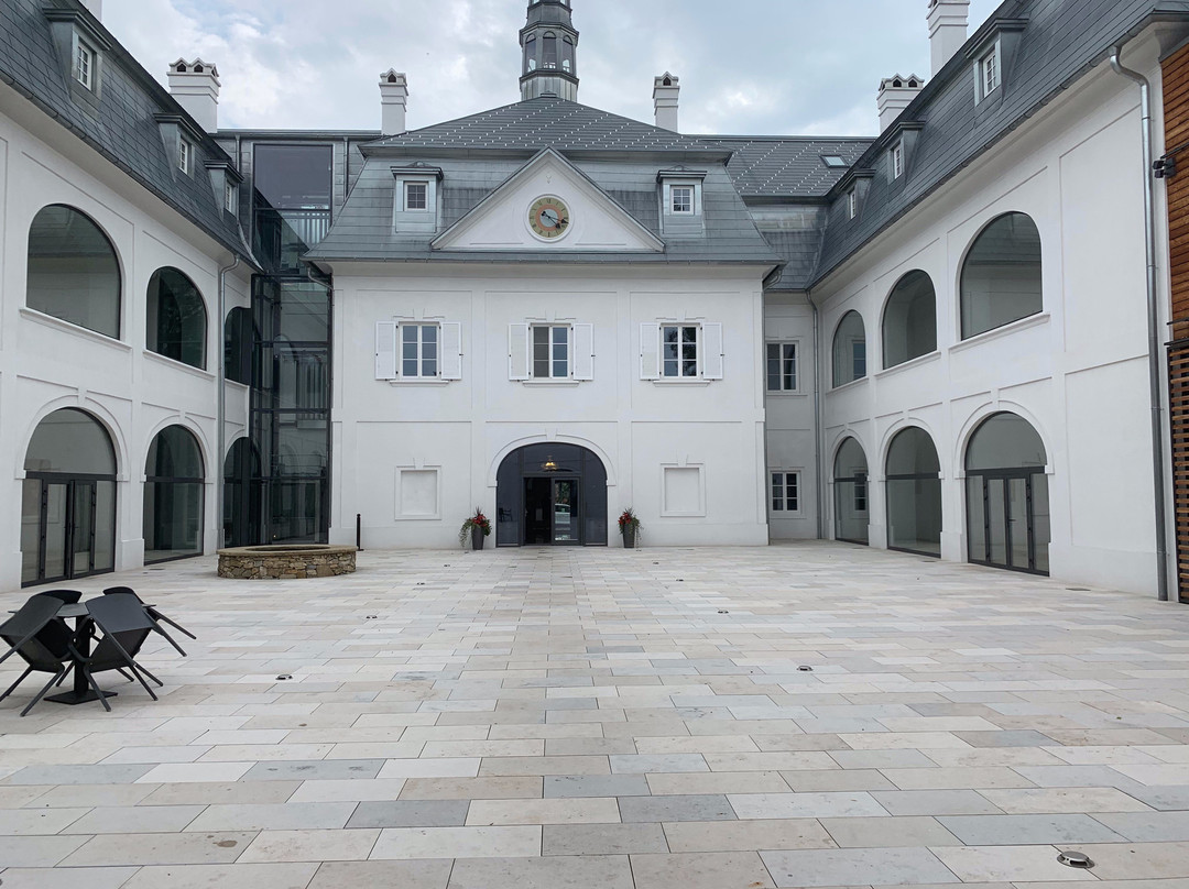 Hotel Chateau Gbelany主图