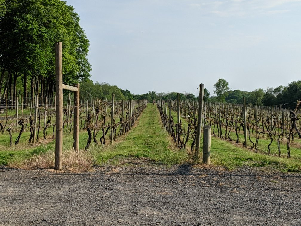 Magnanini Farm Winery景点图片