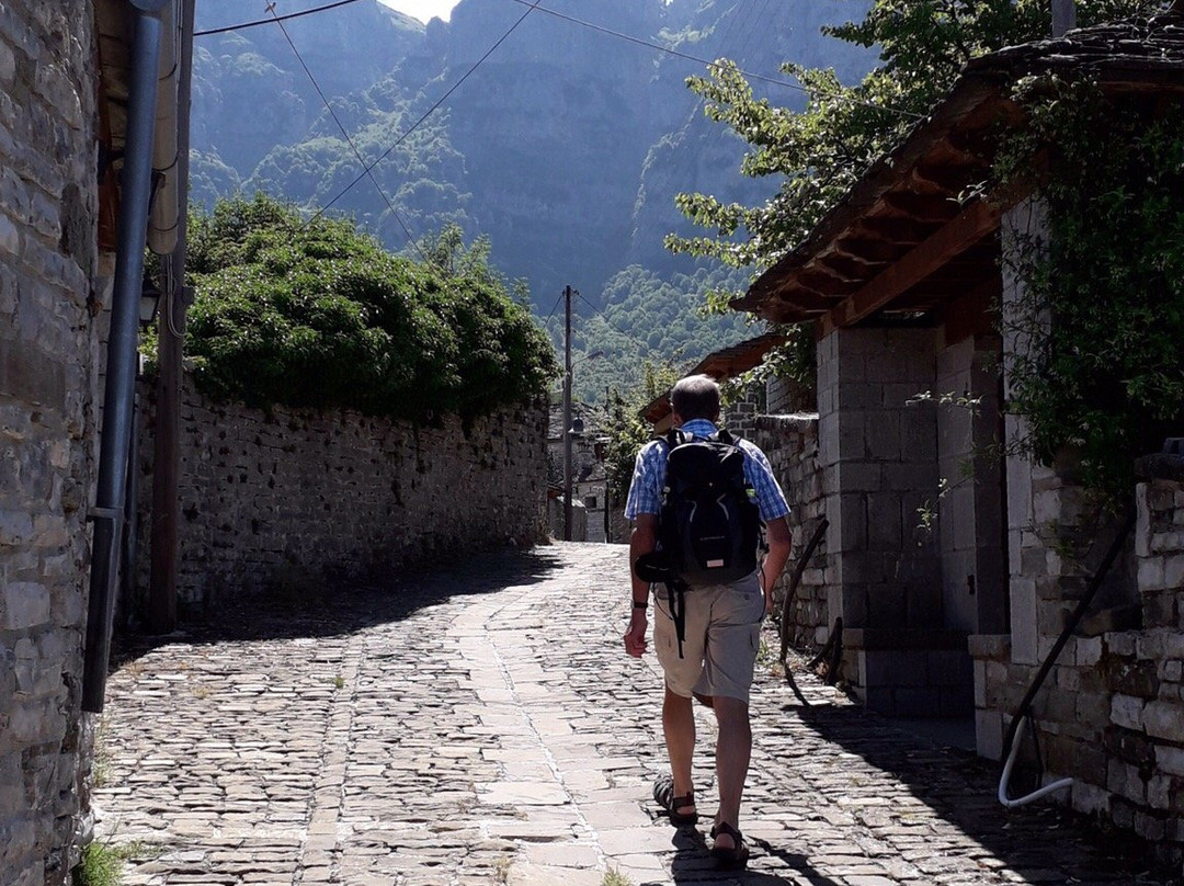 Saxonis Houses主图