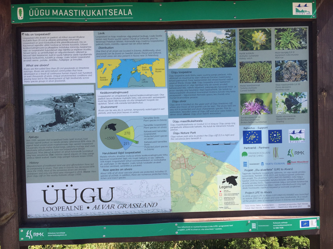 Uugu Bluff-Muhu必去景点